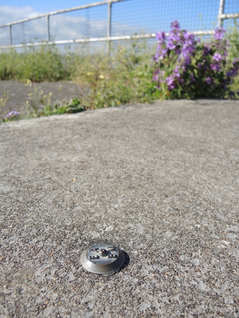 Environment Agency on coastal pathway